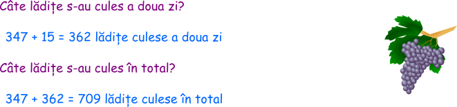 A doua zi s-au cules cu 15 lădițe mai multe decât în prima zi.