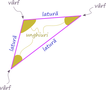Triunghiul - laturi, vârfuri, unghiuri