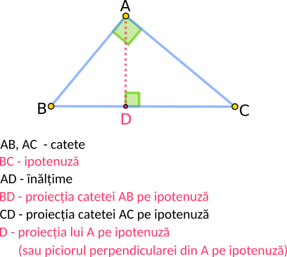 Relații metrice